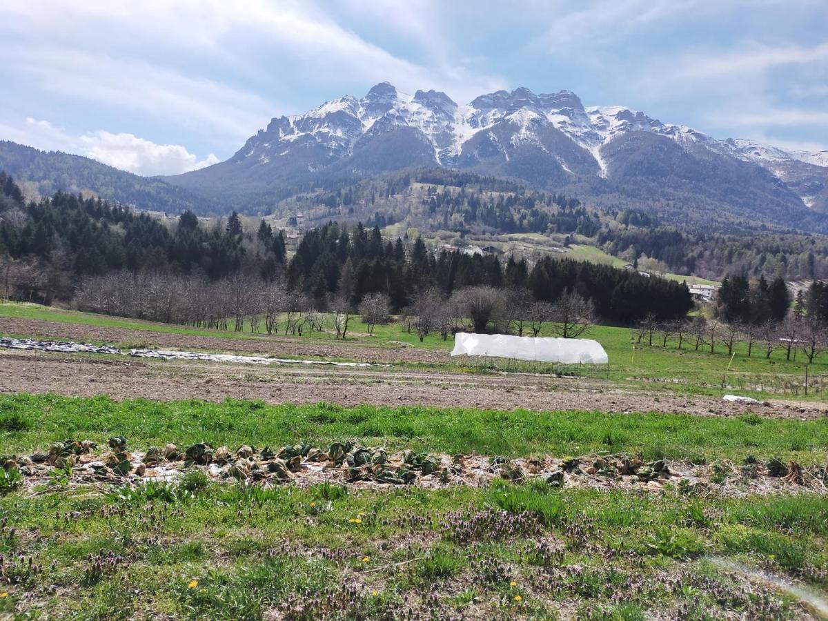 Agritur Maso Flonkeri Bed & Breakfast Bosentino Dış mekan fotoğraf