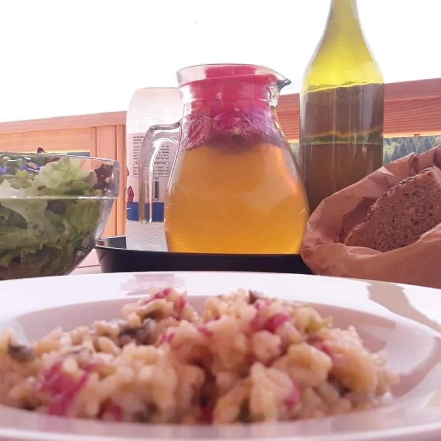 Agritur Maso Flonkeri Bed & Breakfast Bosentino Dış mekan fotoğraf